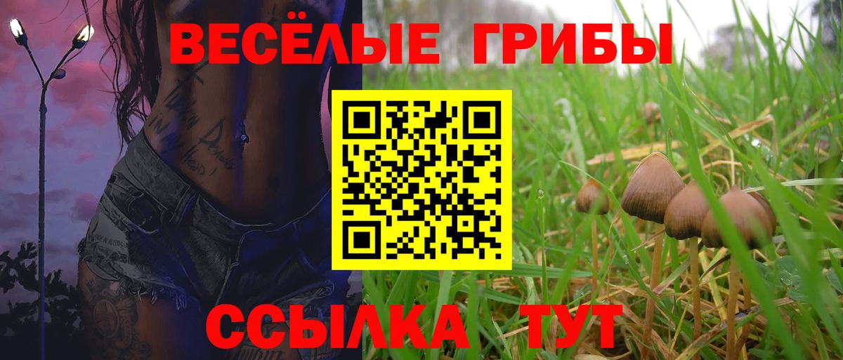 Саранск  Галлюциногенные грибы мухоморы  Вход с VPN  Галлюциногенные грибы прущие грибы 
